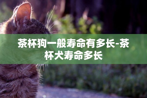 茶杯狗一般壽命有多長-茶杯犬壽命多長
