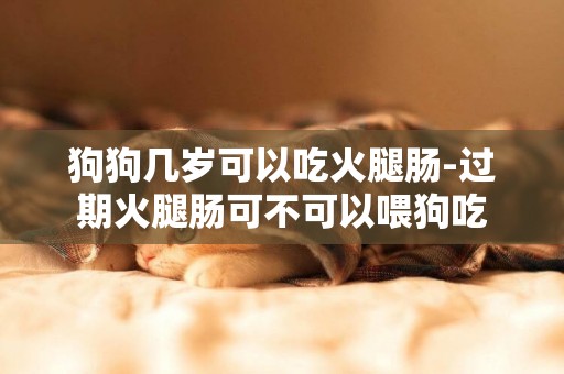 狗狗幾歲可以吃火腿腸-過期火腿腸可不可以喂狗吃