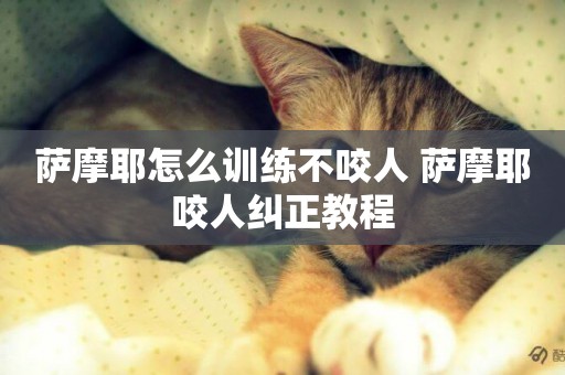 薩摩耶怎么訓練不咬人 薩摩耶咬人糾正教程