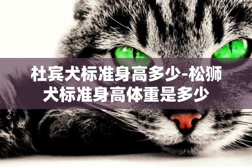 杜賓犬標準身高多少-松獅犬標準身高體重是多少