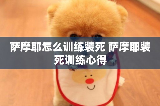 薩摩耶怎么訓練裝死 薩摩耶裝死訓練心得