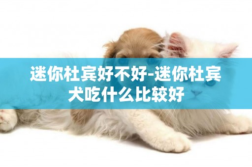 迷你杜賓好不好-迷你杜賓犬吃什么比較好