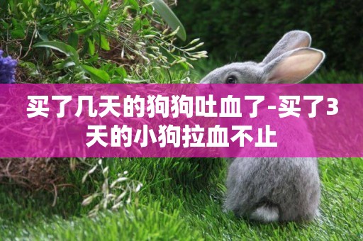 買了幾天的狗狗吐血了-買了3天的小狗拉血不止