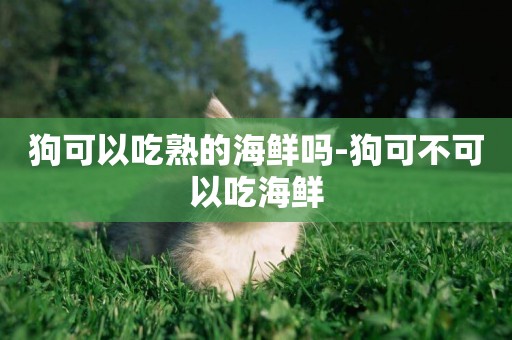 狗可以吃熟的海鮮嗎-狗可不可以吃海鮮