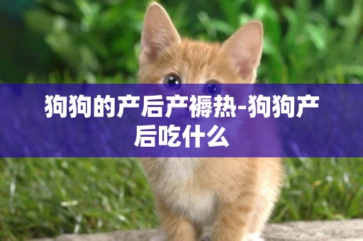 狗狗的產后產褥熱-狗狗產后吃什么