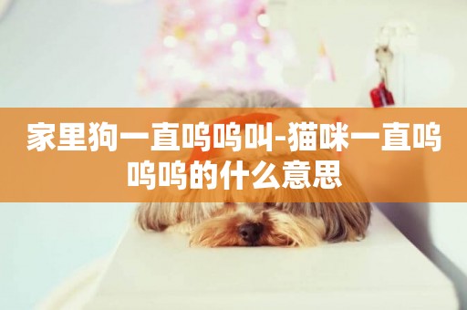 家里狗一直嗚嗚叫-貓咪一直嗚嗚嗚的什么意思