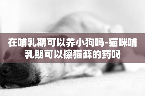 在哺乳期可以養小狗嗎-貓咪哺乳期可以擦貓蘚的藥嗎