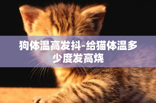 狗體溫高發抖-給貓體溫多少度發高燒