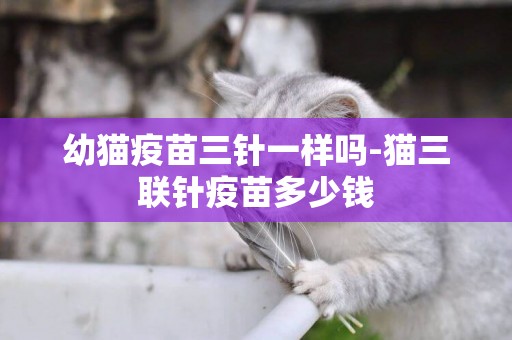 幼貓疫苗三針一樣嗎-貓三聯針疫苗多少錢