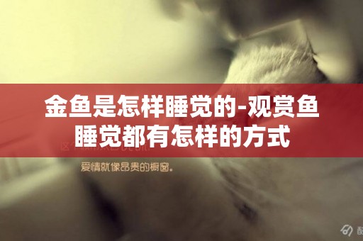 金魚是怎樣睡覺的-觀賞魚睡覺都有怎樣的方式