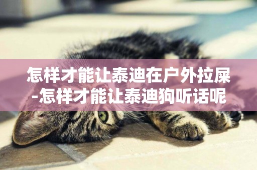怎樣才能讓泰迪在戶外拉屎-怎樣才能讓泰迪狗聽話呢