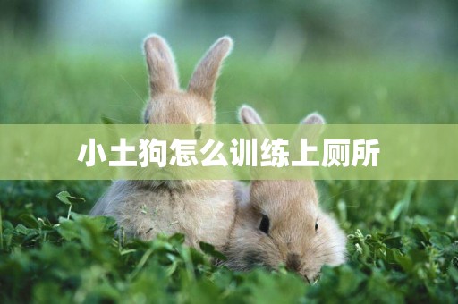 小土狗怎么訓練上廁所