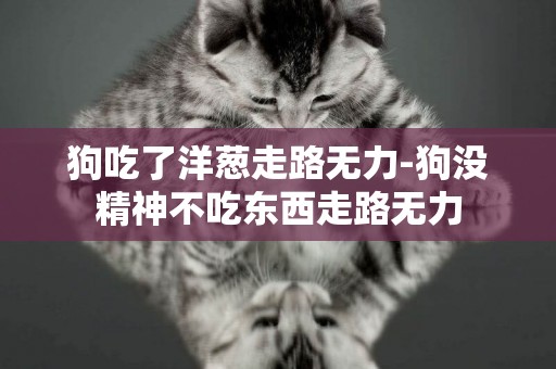狗吃了洋蔥走路無力-狗沒精神不吃東西走路無力