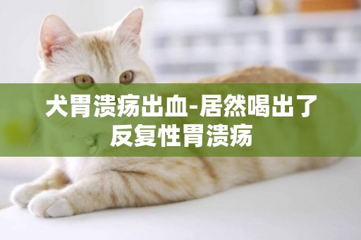 犬胃潰瘍出血-居然喝出了反復性胃潰瘍