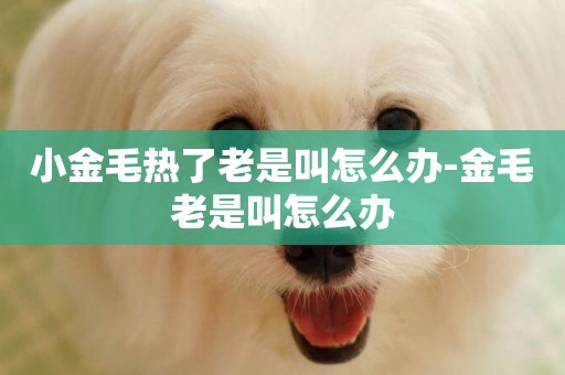 小金毛熱了老是叫怎么辦-金毛老是叫怎么辦