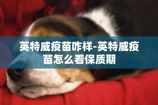 英特威疫苗咋樣-英特威疫苗怎么看保質期