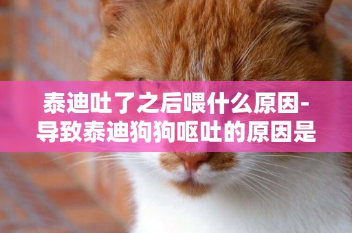 泰迪吐了之后喂什么原因-導致泰迪狗狗嘔吐的原因是什么