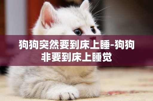 狗狗突然要到床上睡-狗狗非要到床上睡覺