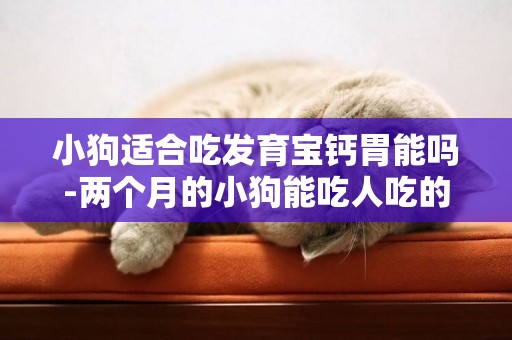 小狗適合吃發育寶鈣胃能嗎-兩個月的小狗能吃人吃的鈣片嗎