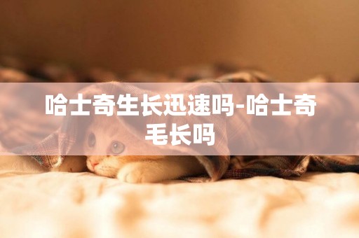 哈士奇生長迅速嗎-哈士奇毛長嗎