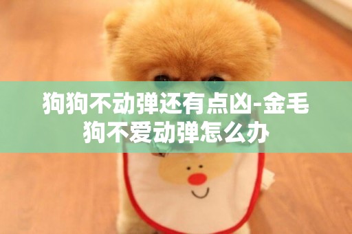 狗狗不動彈還有點兇-金毛狗不愛動彈怎么辦
