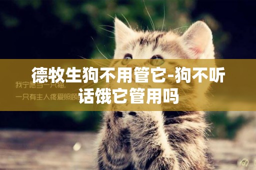 德牧生狗不用管它-狗不聽話餓它管用嗎