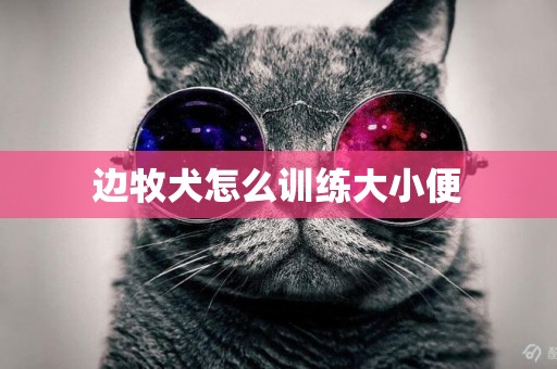 邊牧犬怎么訓練大小便