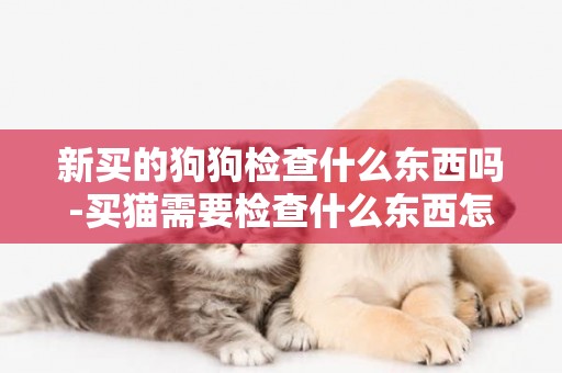 新買的狗狗檢查什么東西嗎-買貓需要檢查什么東西怎么辦