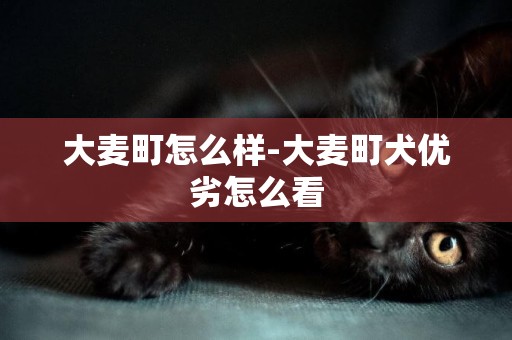 大麥町怎么樣-大麥町犬優劣怎么看