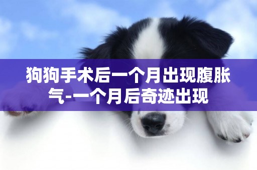狗狗手術后一個月出現腹脹氣-一個月后奇跡出現
