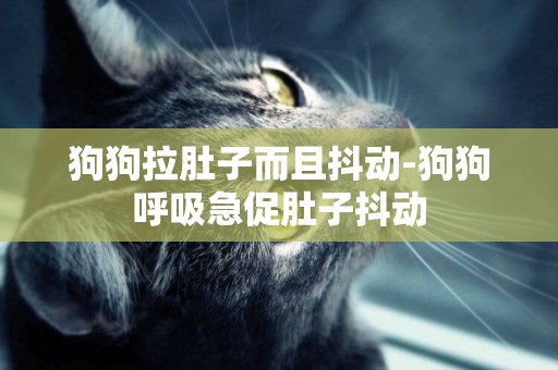狗狗拉肚子而且抖動-狗狗呼吸急促肚子抖動