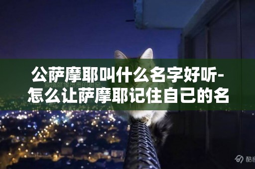 公薩摩耶叫什么名字好聽-怎么讓薩摩耶記住自己的名字