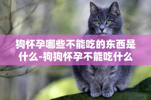 狗懷孕哪些不能吃的東西是什么-狗狗懷孕不能吃什么東西