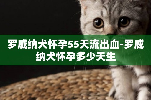 羅威納犬懷孕55天流出血-羅威納犬懷孕多少天生