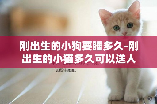 剛出生的小狗要睡多久-剛出生的小貓多久可以送人