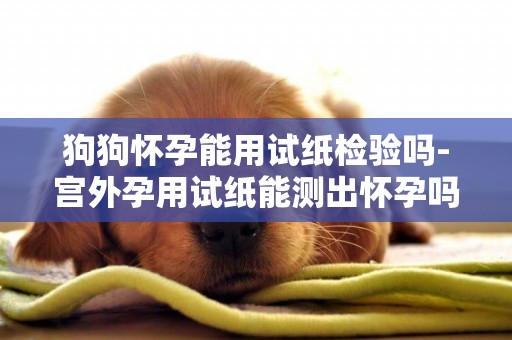 狗狗懷孕能用試紙檢驗嗎-宮外孕用試紙能測出懷孕嗎
