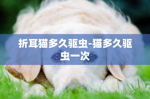 折耳貓多久驅蟲-貓多久驅蟲一次