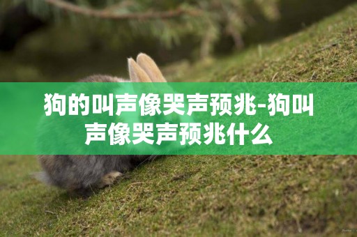 狗的叫聲像哭聲預兆-狗叫聲像哭聲預兆什么