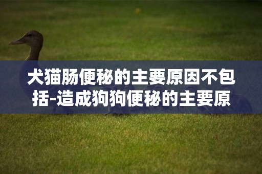 犬貓腸便秘的主要原因不包括-造成狗狗便秘的主要原因