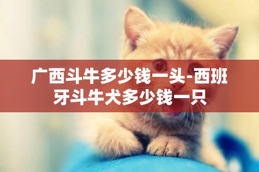 廣西斗牛多少錢一頭-西班牙斗牛犬多少錢一只