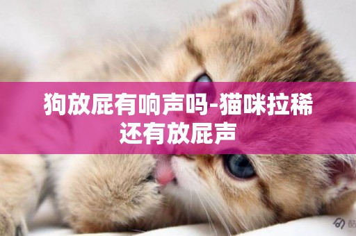 狗放屁有響聲嗎-貓咪拉稀還有放屁聲