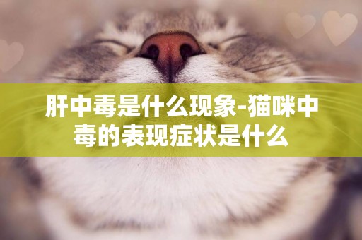 肝中毒是什么現象-貓咪中毒的表現癥狀是什么