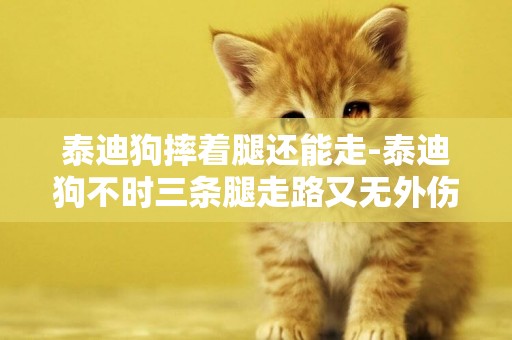 泰迪狗摔著腿還能走-泰迪狗不時三條腿走路又無外傷
