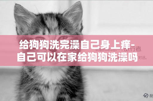 給狗狗洗完澡自己身上癢-自己可以在家給狗狗洗澡嗎
