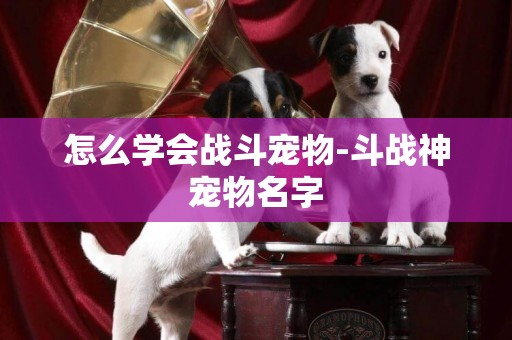 怎么學會戰斗寵物-斗戰神寵物名字