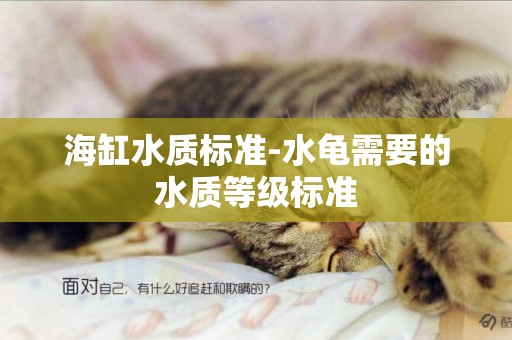 海缸水質標準-水龜需要的水質等級標準