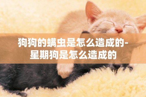 狗狗的螨蟲是怎么造成的-星期狗是怎么造成的