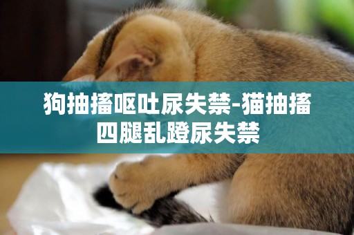 狗抽搐嘔吐尿失禁-貓抽搐四腿亂蹬尿失禁