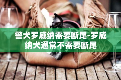 警犬羅威納需要斷尾-羅威納犬通常不需要斷尾