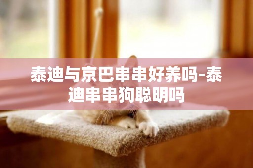 泰迪與京巴串串好養嗎-泰迪串串狗聰明嗎